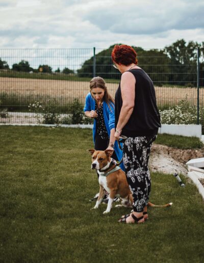 Coaching mit Hund Unterstützung