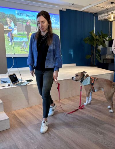 Annika Fischer Hundegestütztes Coaching