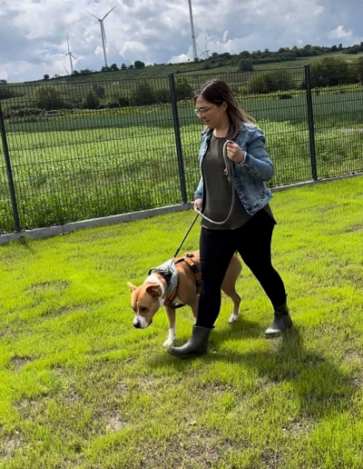 Coaching mit Hund
