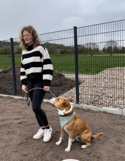 Hundegestütztes Coaching