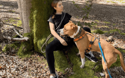 Waldzeit im Donnersbergkreis – Auszeit mit Hund & Entspannung die kein Training schafft