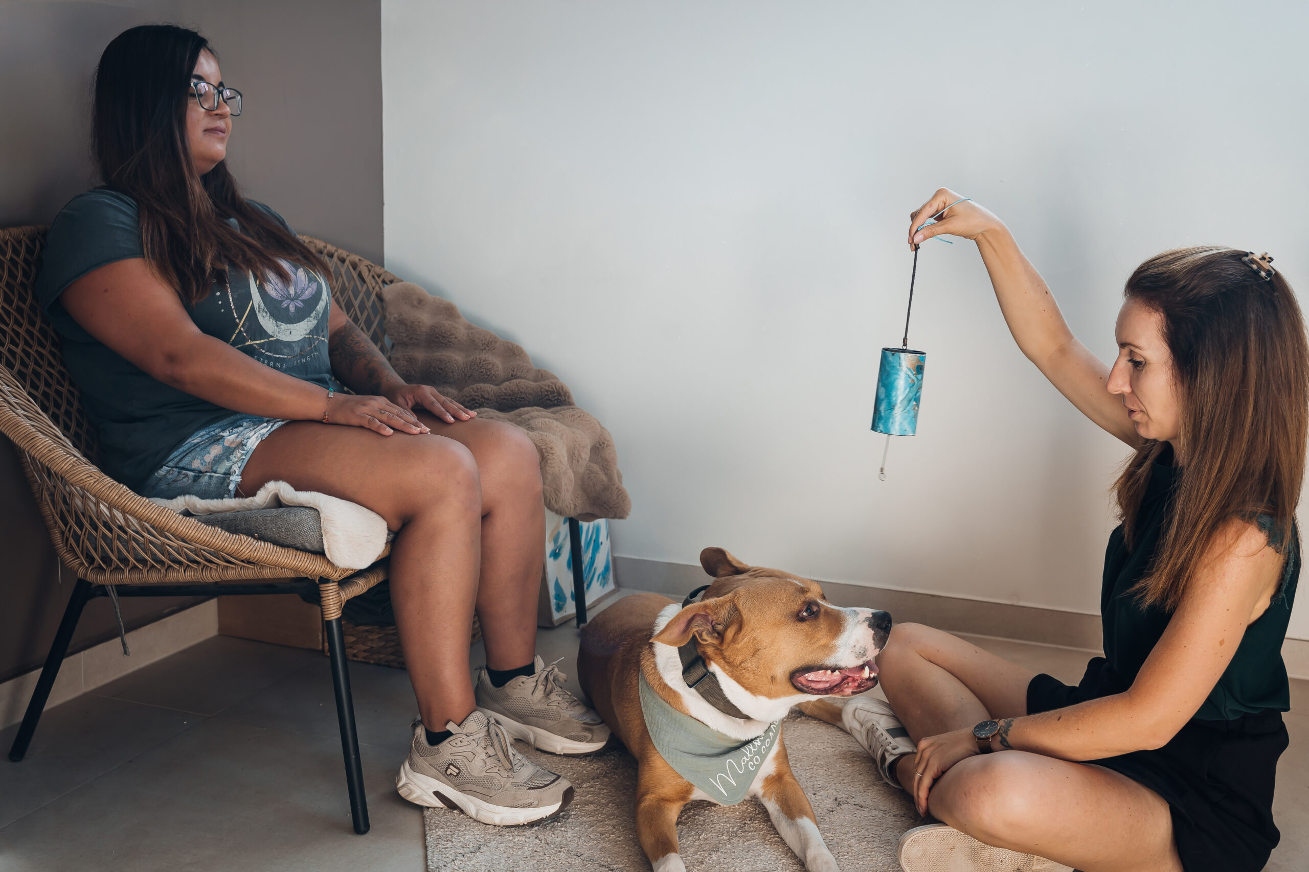Entspannter Alltag mit Hund