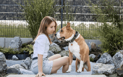 Hitze im Homeoffice: Warum dein Hund ständig rein und raus will – und was das mit deiner Selbstführung zu tun hat.